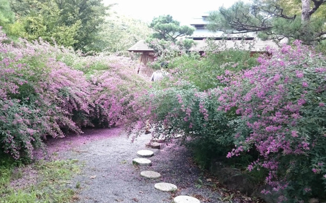 Ryokan Warabino