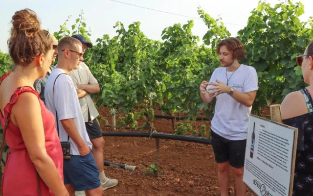 Volito Hotel - Rural Experience