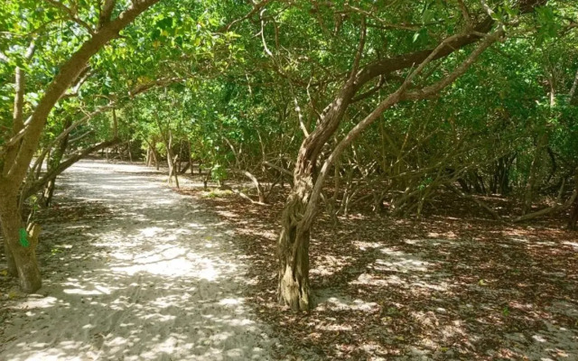 Résidence Oncle Sam