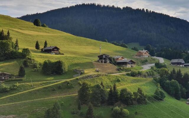 Appartement La Clusaz, 1 pièce, 6 personnes - FR-1-459-169