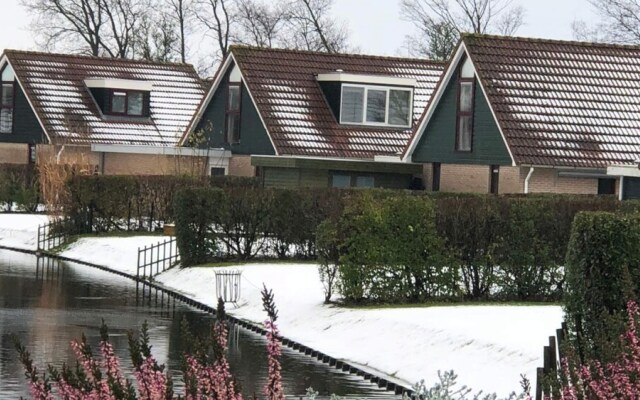 HVZ Crocus 4p in Heinkenszand