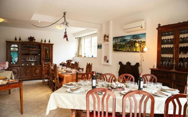 Artisti del Cavallo Tourism