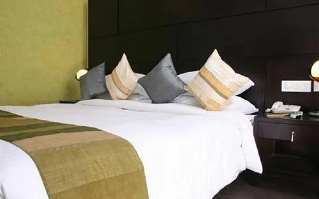 Dolphinn Grand