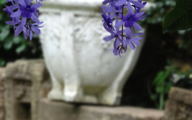 Noosa Valley Manor B&B Retreat