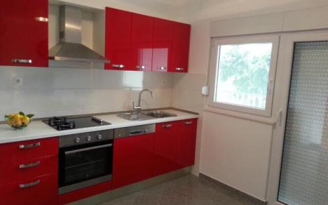 Apartment Branko