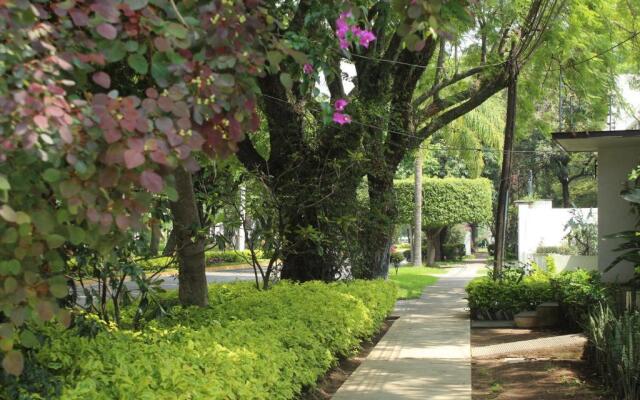 Suite/ terraza en la glorieta chapalita