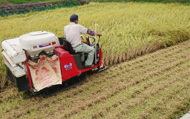 Minshuku Ryokan Beach