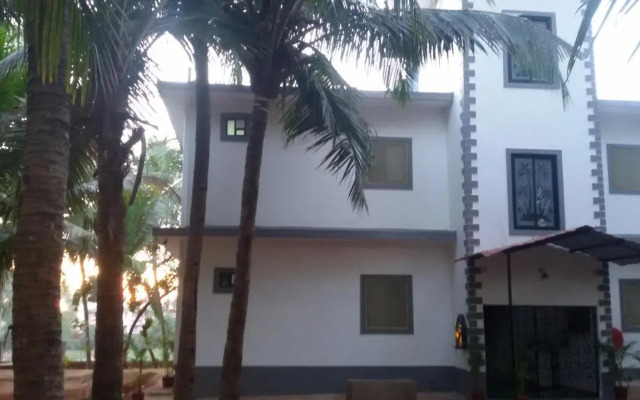 Palm Shades Spring