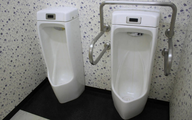 Tanakaya Hinageshikan – Bathroom – Rishirifuji