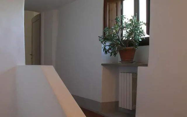 OLEANDRO
