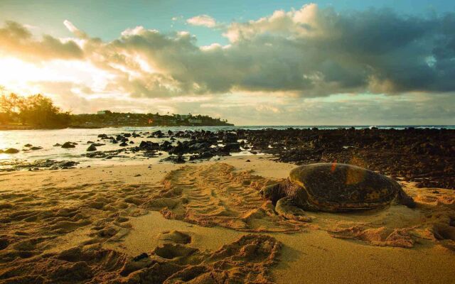 Marriott's Waiohai Beach Club