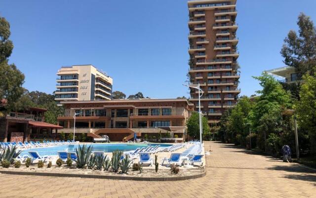 Leo Group BEST STUDIO 1101 Dreamland Oasis CHAKVI