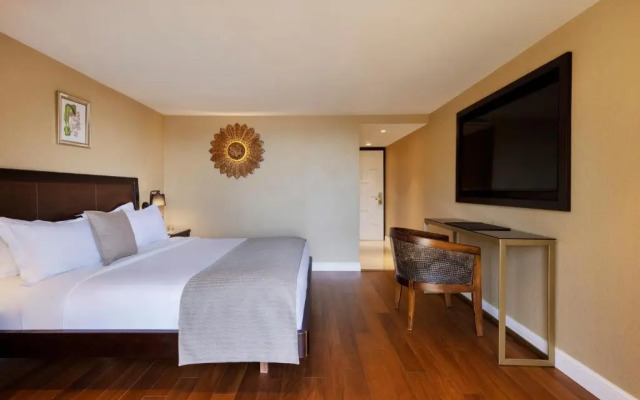 Orchid Eilat