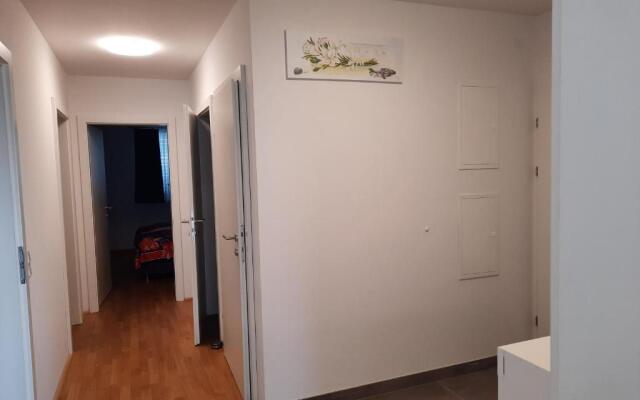 Vienna Lion Apartment