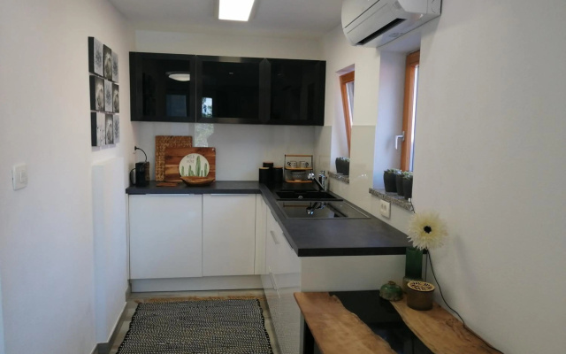Apartma Medoši