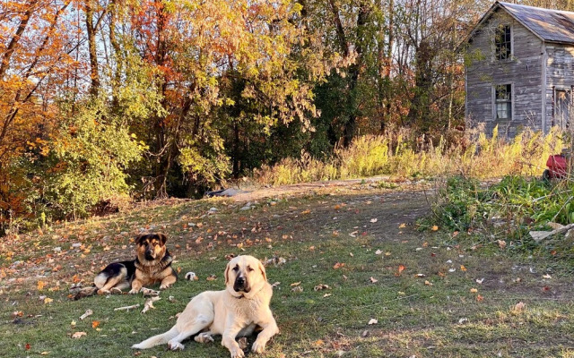The Inn on Lake Champlain
