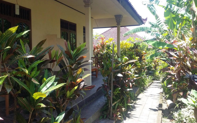 Surya homestay