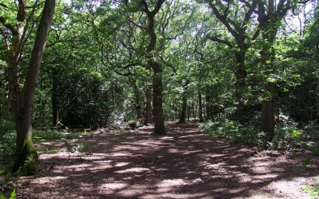 Romantic Lodge on Edge of Nature Reserve