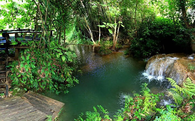 Rabeang Pasak Treehouse Resort