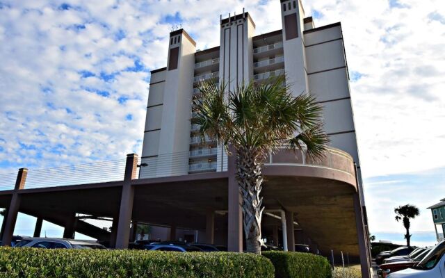 Royal Palms 801 by RedAwning