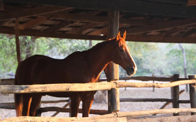 Kande Horse And Guest Farm House