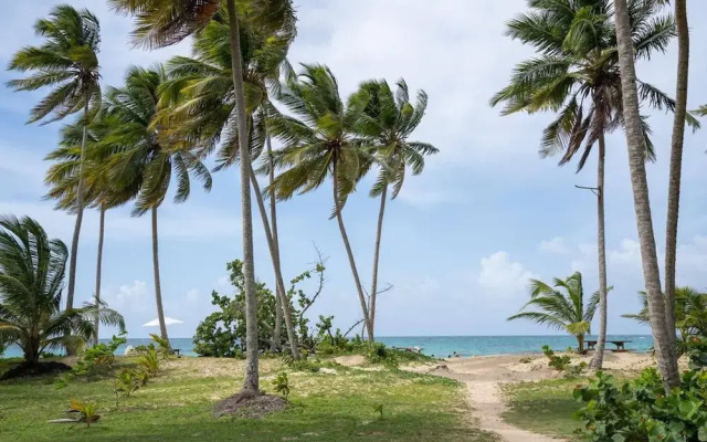 Villa Joyosa- Las Terrenas Beachfront Villa