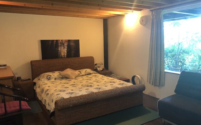 Between Trees Bnb