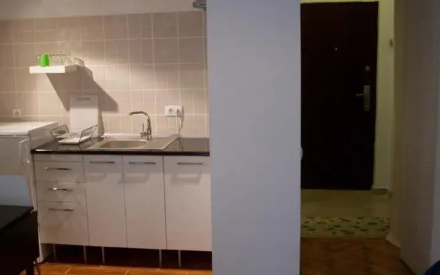Cristina Apartment - Calea Victoriei