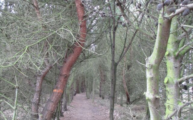 Edwin Haven Bed & Breakfast