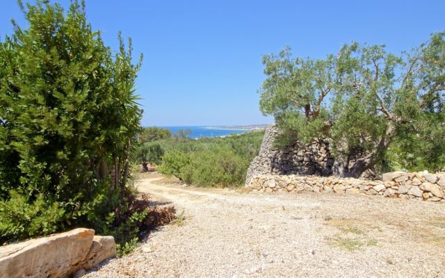 Ulivi Pasuli Rare View e Privacy