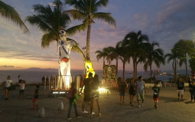 Hostel Enjoy Vallarta 19