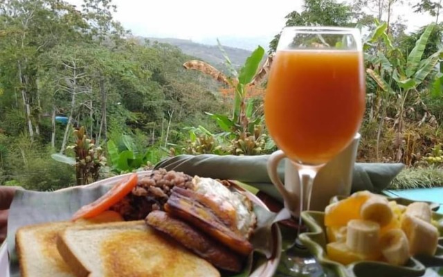 Hotel Green Mountain Turrialba