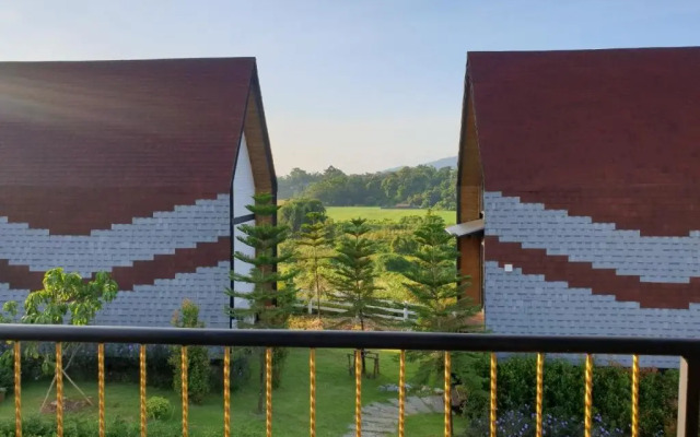 Oxy Resort