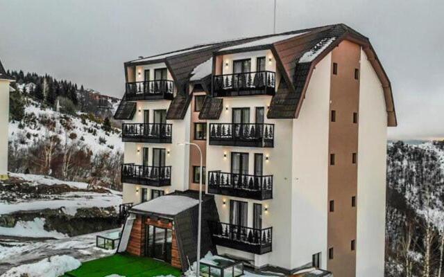 Ariš Kopaonik apartman A21