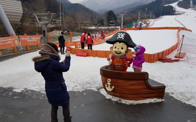 Bears Town Resort