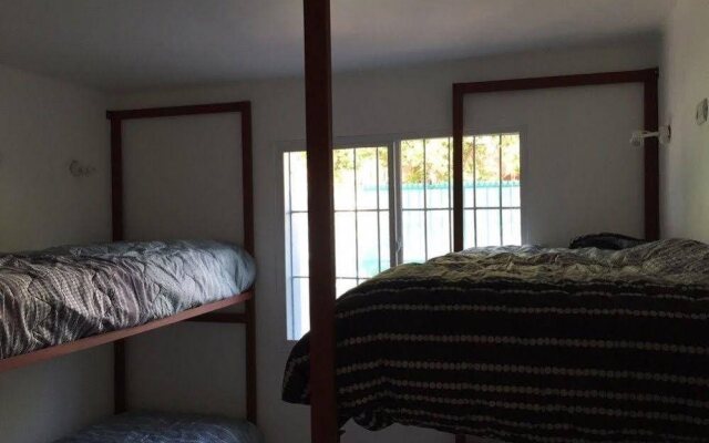 Hostel Dream and Trip