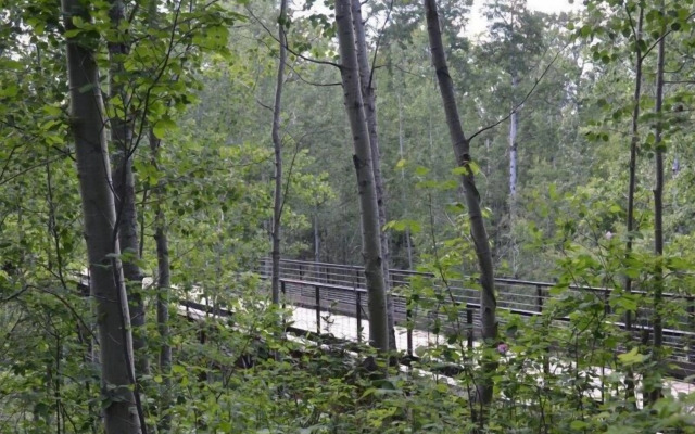 Village Creek Country Inn