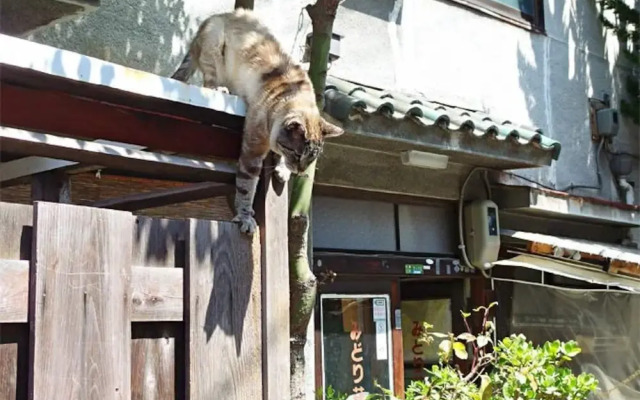 NAKAZ Machiya , Osaka Umeda
