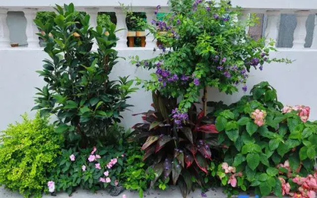 Leyixiaoju Homestay (Yangmeikeng Judiaosha)