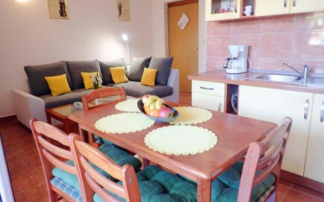 Apartments in Jasenice 41709
