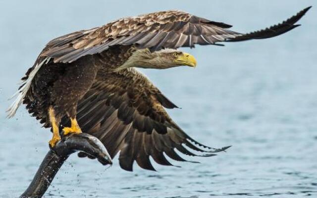 Altes Gutshaus-Federow