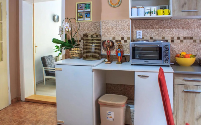 BB Downtown Apartment