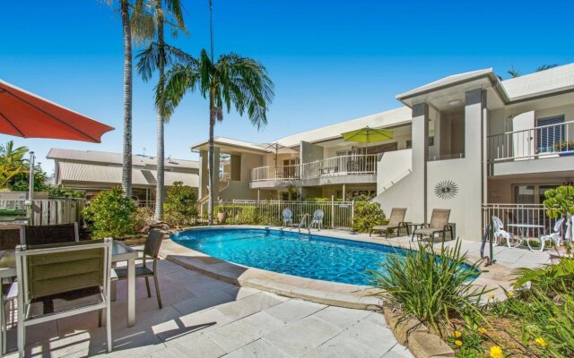 Noosa River Palms