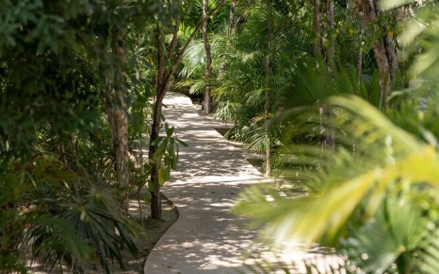 Seremonia Origen by Vida de Playa