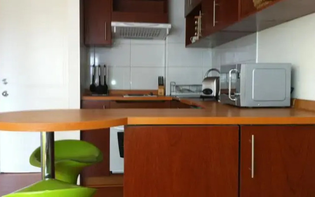 Santiago Rent Apart Studio