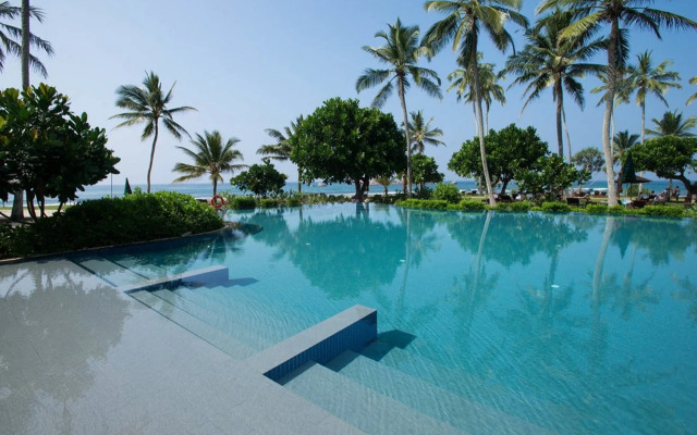 Hikka Tranz by Cinnamon