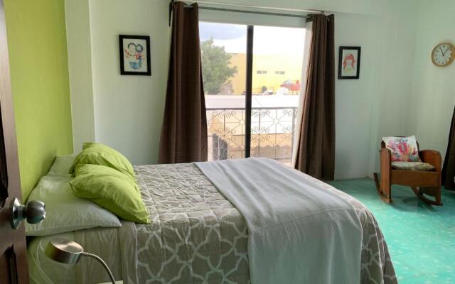 CoCo 2 Spacious Apartment Downtown with Garden