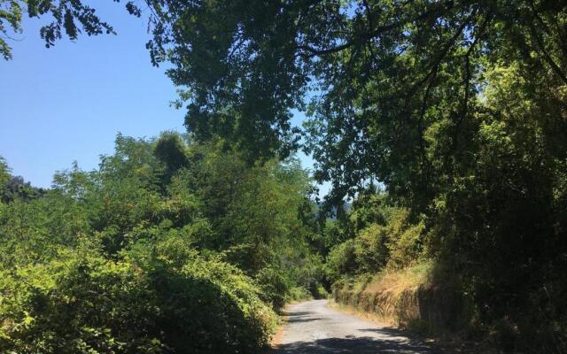 Casa La Wanda - Camaiore, Toscana - 2 Br & Terrace
