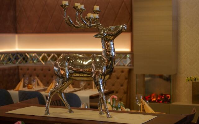 Seehotel Plau Am See