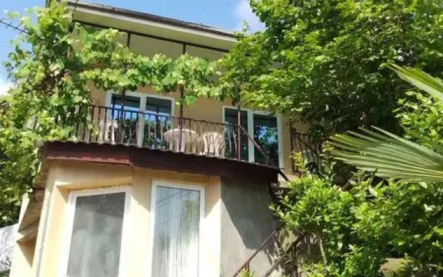 Pod palmoj